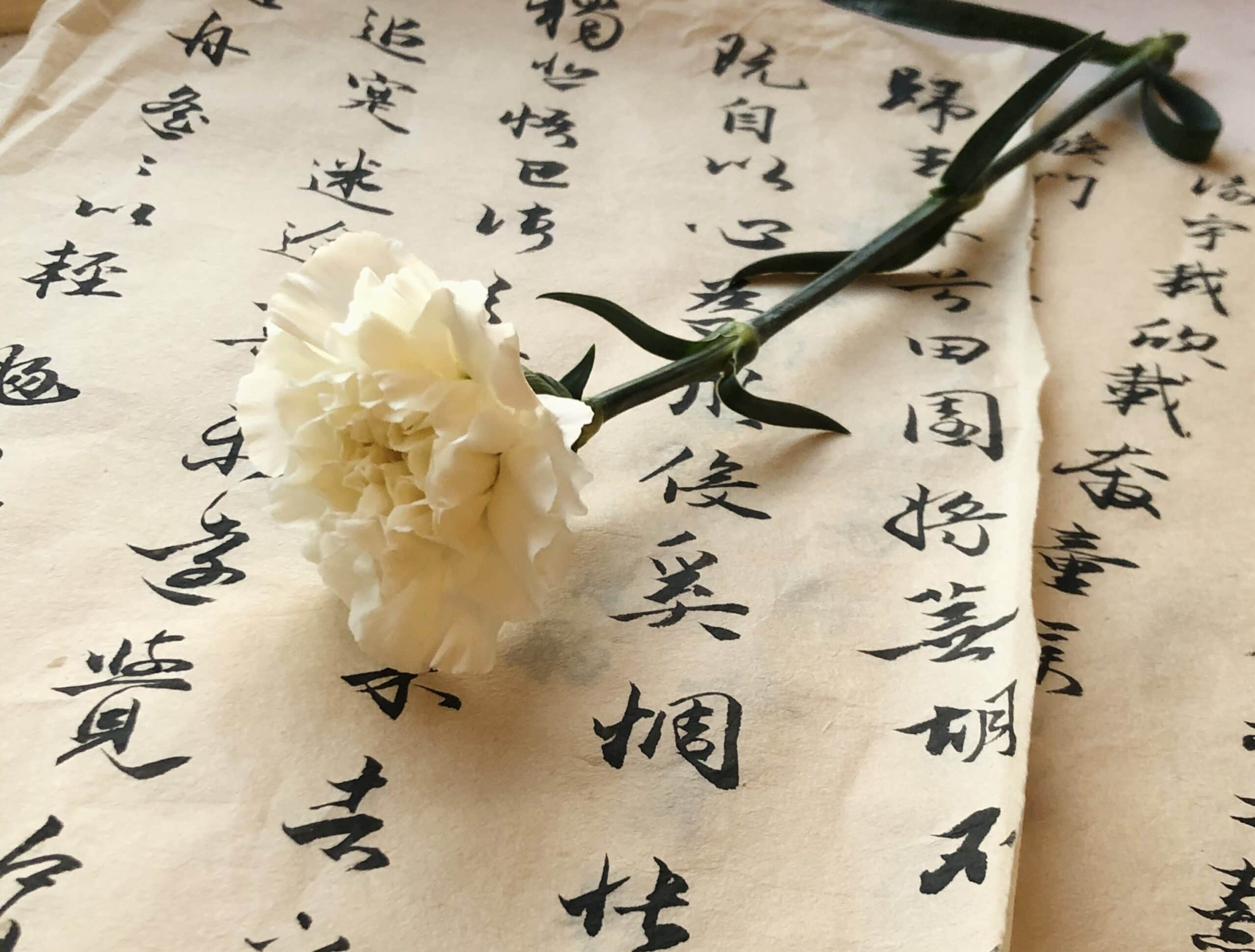 A single carnation on a piece of paper with chinese writing